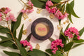 Single Pan Eyeshadow.png